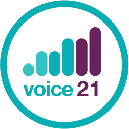 V21 logo digital 3
